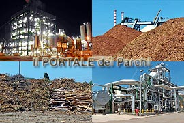 Calabria: Le Biomasse per il rilancio del Sud