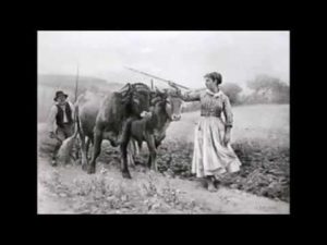 Il Mastro Don Gesualdo di Giovanni Verga