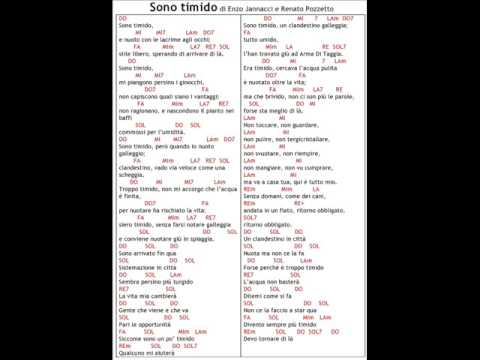 Sono timido cover