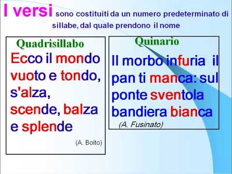 I versi le rime e le figure foniche