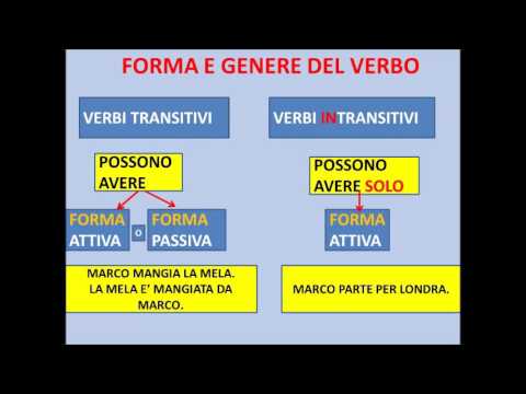 Introduzione al verbo. Il genere del verbo transitivo e intransitivo