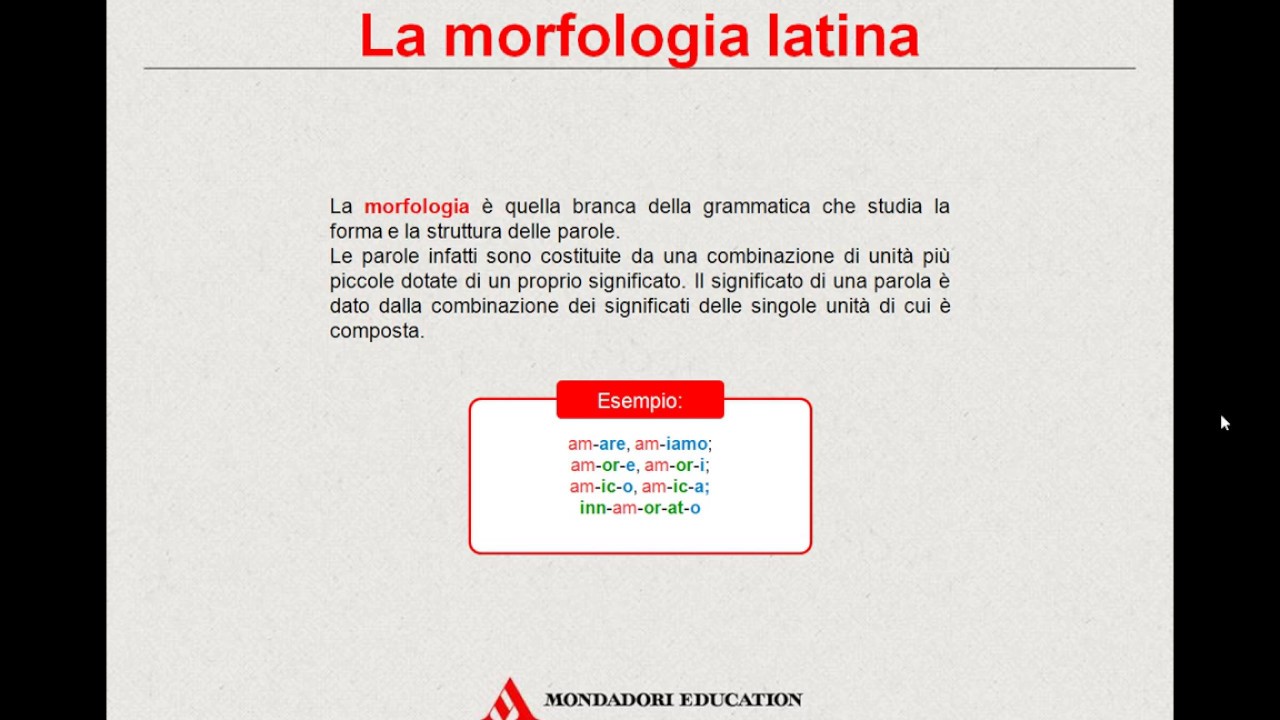 La morfologia latina